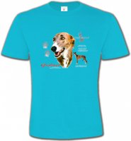 Greyhound Lévrier (N)