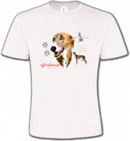 Greyhound Lévrier (N)