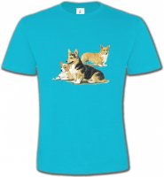 Famille Welsh Corgi (D)