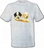 Deux chiots