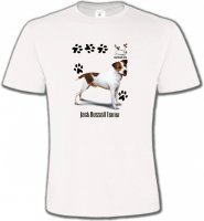 Jack Russell Terrier (D)