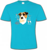Jack Russell Terrier (C)