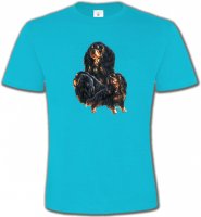 Cavalier King Charles Noir et Marron (D)