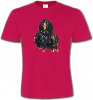 Cavalier King Charles Noir et Marron (D)