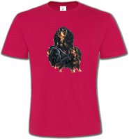 Cavalier King Charles Noir et Marron (D)