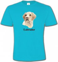 Tête de Labrador sable (S)