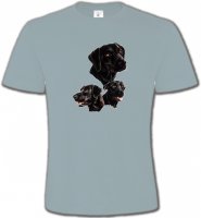 Labrador noir (B)