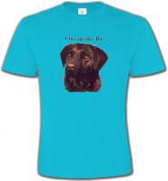 Labrador chocolat (G)