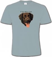 Tête de Labrador chocolat (W)