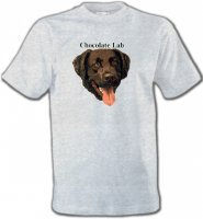 Tête de Labrador chocolat (W)