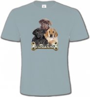 Bébé labrador noir chocolat et sable (P)