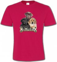 Bébé labrador noir chocolat et sable (P)