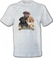Bébé labrador noir chocolat et sable (P)
