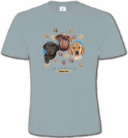 Bébés Labradors (U)