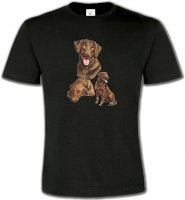 Labrador chocolat (F)