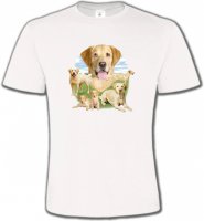 Labrador paysage sable (R)