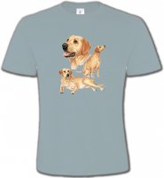 Labrador sable (E)