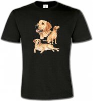 Labrador sable (E)