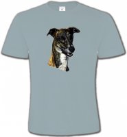 Tête de Greyhound Lévrier(G)