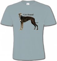 Greyhound Lévrier (H)