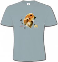 Lévrier Afghan blanc (P)