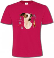 Lévrier Italien (A)