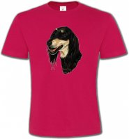 Lévrier Persan Saluki (I)