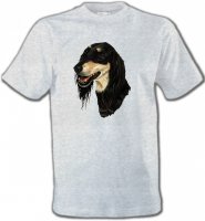 Lévrier Persan Saluki (I)