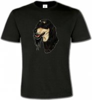 Lévrier Persan Saluki (I)