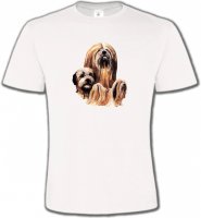 Lhassa Apso (A)