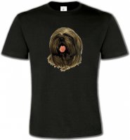 Lhassa Apso (C)