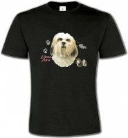 Lhassa Apso (B)