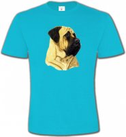 Mastiff (B)