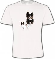 Papillon (A)