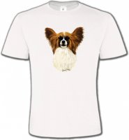 Tête de Papillon (F)