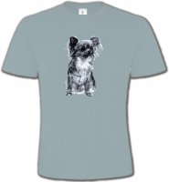 Papillon gris (C)