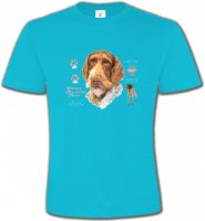 Pointer (B)