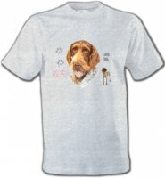 Pointer (B)