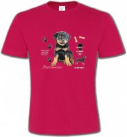 Rottweiler Chiot (Q)