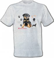 Rottweiler Chiot (Q)
