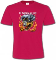 Rottweiler Enfer (P)