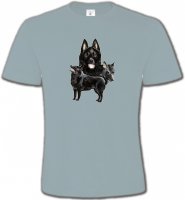 Schipperke (A)