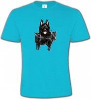 Schipperke (A)