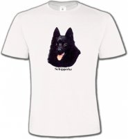 Schipperke (C)