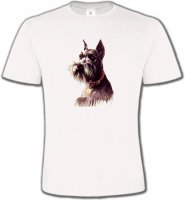 Schnauzer (A)