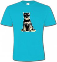 Schnauzer bébé (E)