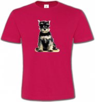 Schnauzer bébé (E)