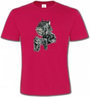 Schnauzer gris