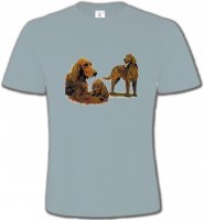 Setter brun (J)