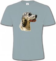 Setter (D)